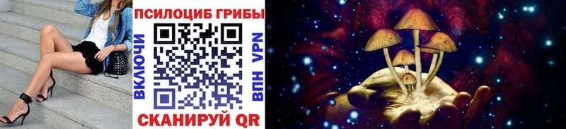 Псилоцибиновые грибы Psilocybine cubensis  Советский 