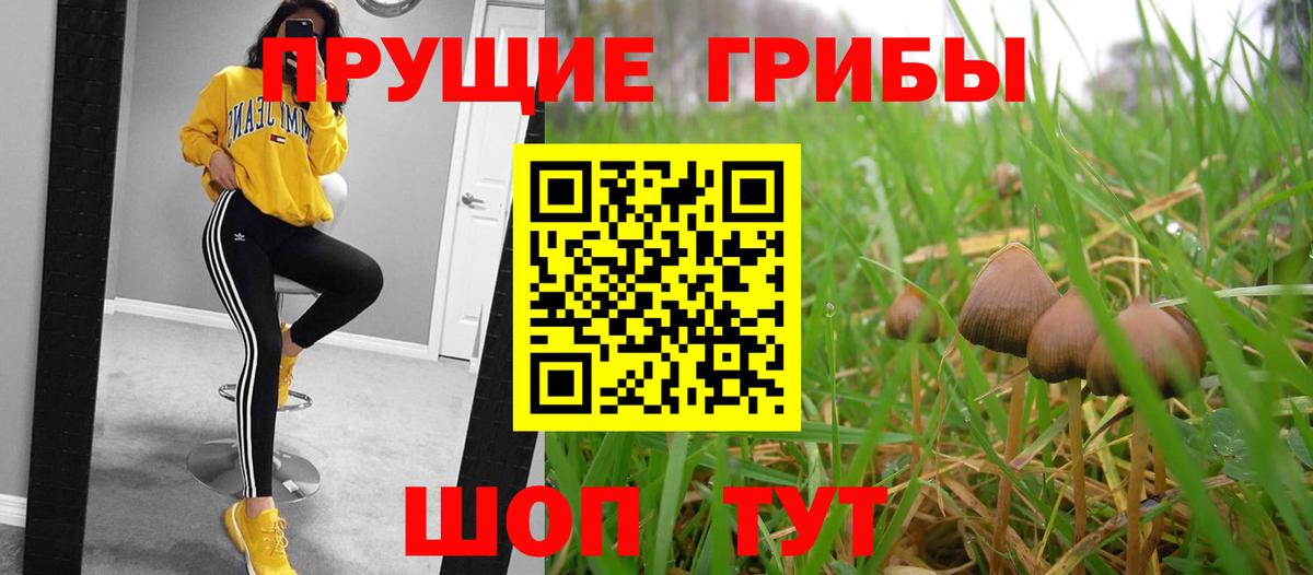 Советский  Псилоцибиновые грибы Psilocybine cubensis  Вход с VPN 
