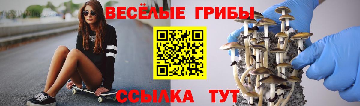 Псилоцибиновые грибы Psilocybine cubensis Советский