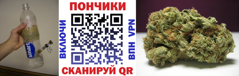 сколько стоит  Советский  Шишки марихуана White Widow 
